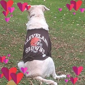 Meet your Posher, Jeremy